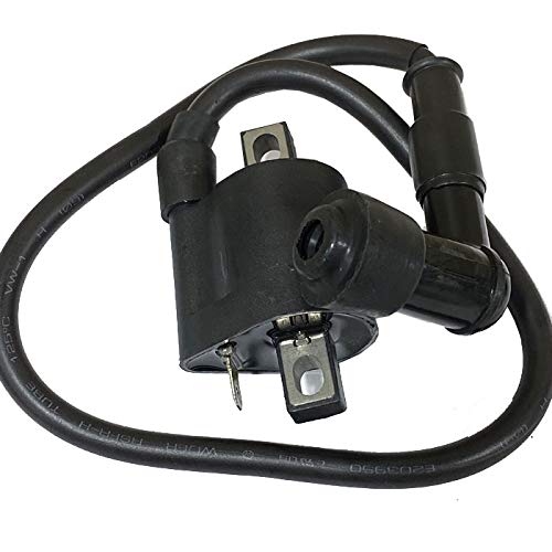 Amazon.com: 01020028 Ignition Coil for 250cc Motor : Automotive